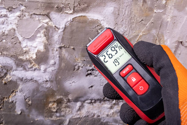 Reliable Lafayette, CA Mold Removal Solutions